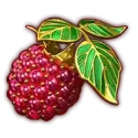 icon 3
