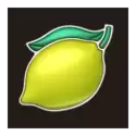 icon 6