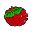 icon 4