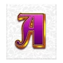 icon 5