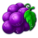 icon 4