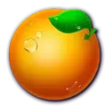 icon 6