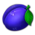 icon 5