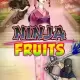 Ninja Fruits