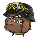 icon 2