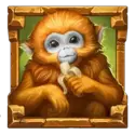 icon 2