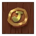 icon 9