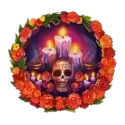 icon 13