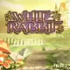 White Rabbit