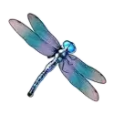 icon 3