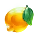 icon 5