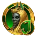 icon 4
