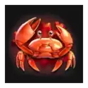 icon 2