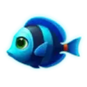 icon 4