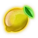 icon 5