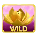 icon 1