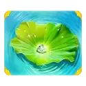 icon 4