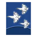 icon 5