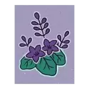 icon 6