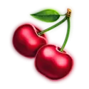icon 9