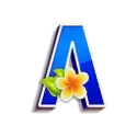 icon 6