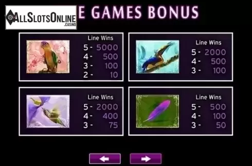 Paytable 2. Birds of Wonder from High 5 Games