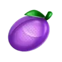 icon 5