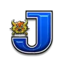 icon 10