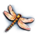 icon 6