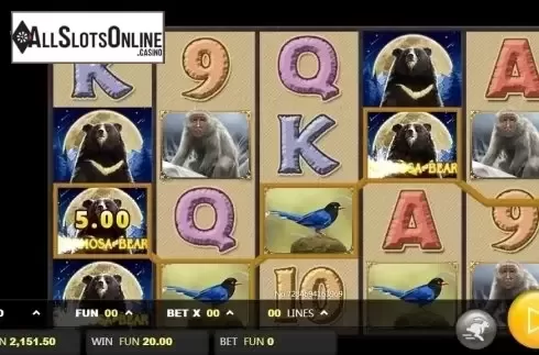 Wild Win screen. Formosa Bear from JDB168