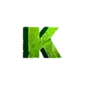 icon 6