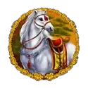icon 5