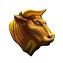icon 5