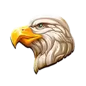 icon 4
