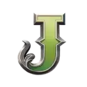 icon 8