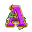 icon 6