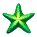 icon 4