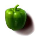 icon 9