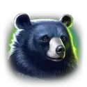 icon 4