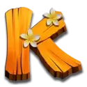 icon 9