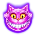 icon 1