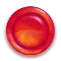 icon 5