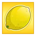 icon 4