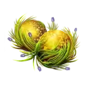 icon 2