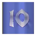 icon 10