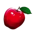 icon 9