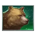 icon 4