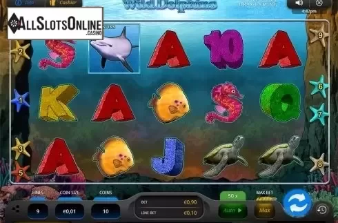 Reels screen. Wild Dolphins from Oryx