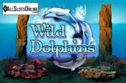 Wild Dolphins