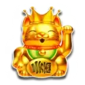 icon 9